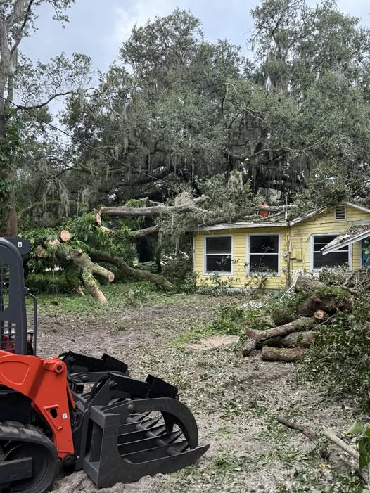 Tree service equipment in front of a yellow house with fallen tree limbs and debris in a residential yard, illustrating tree removal and cleanup services in Central Florida.